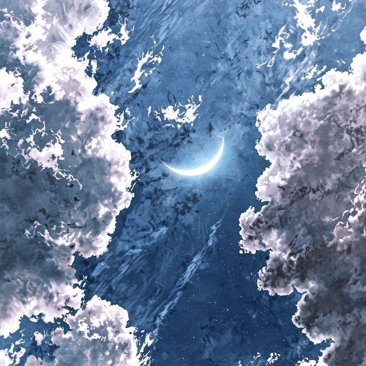 5041