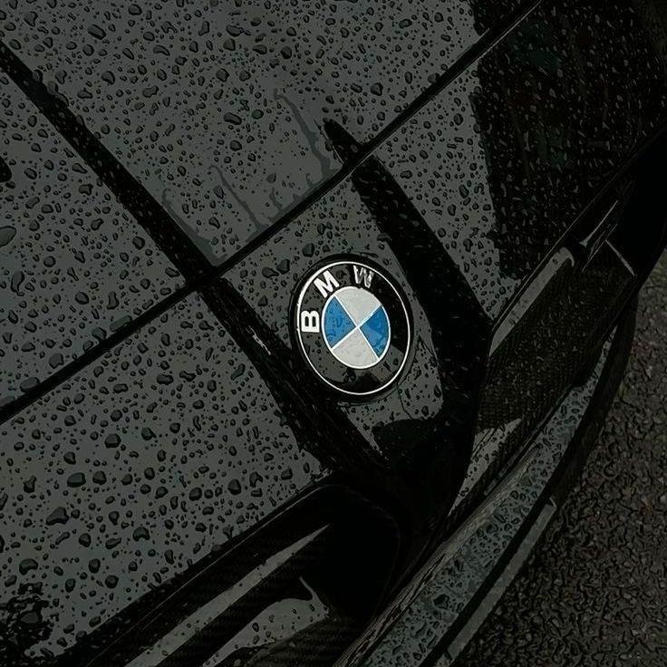 xte1n avatar