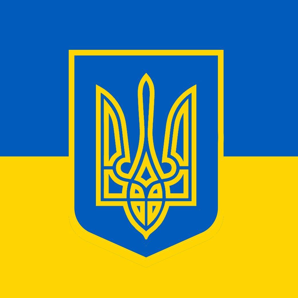 azov-zcy avatar