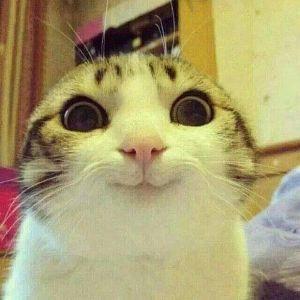 Holo_1lvl avatar