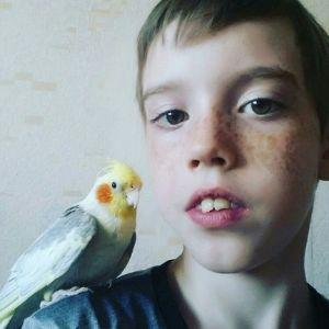 levushka31 avatar