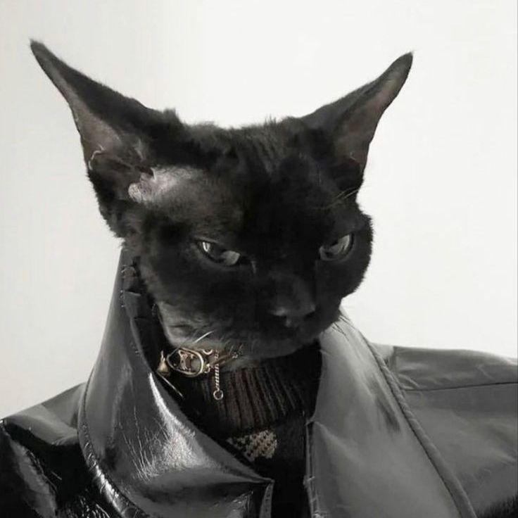 porscheIvan avatar