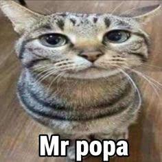 llmui avatar