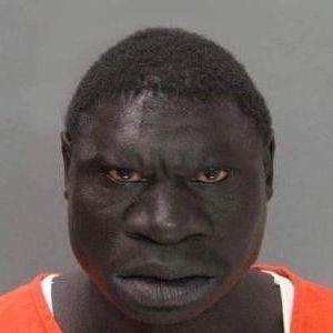 ChicoBola