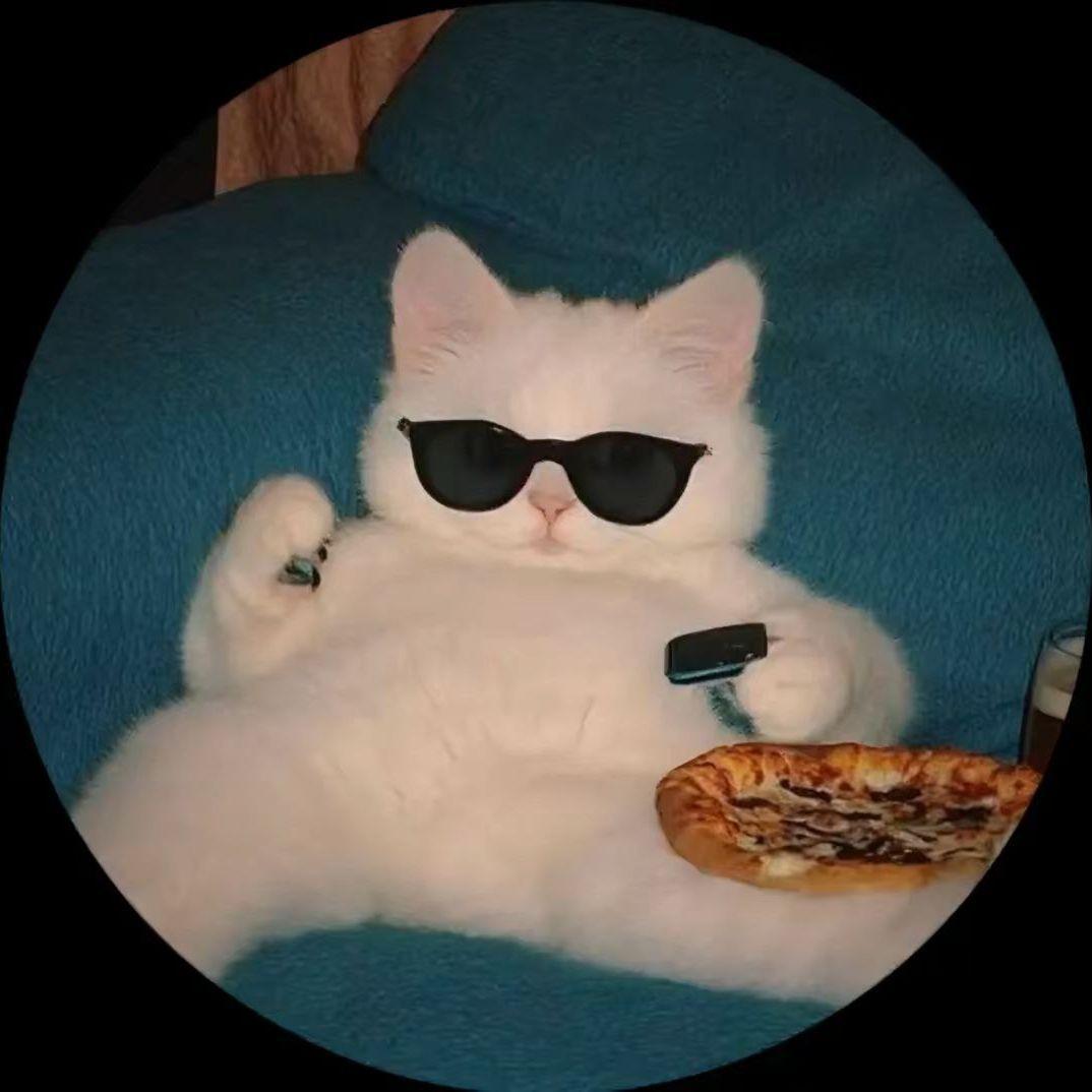 skaleO avatar