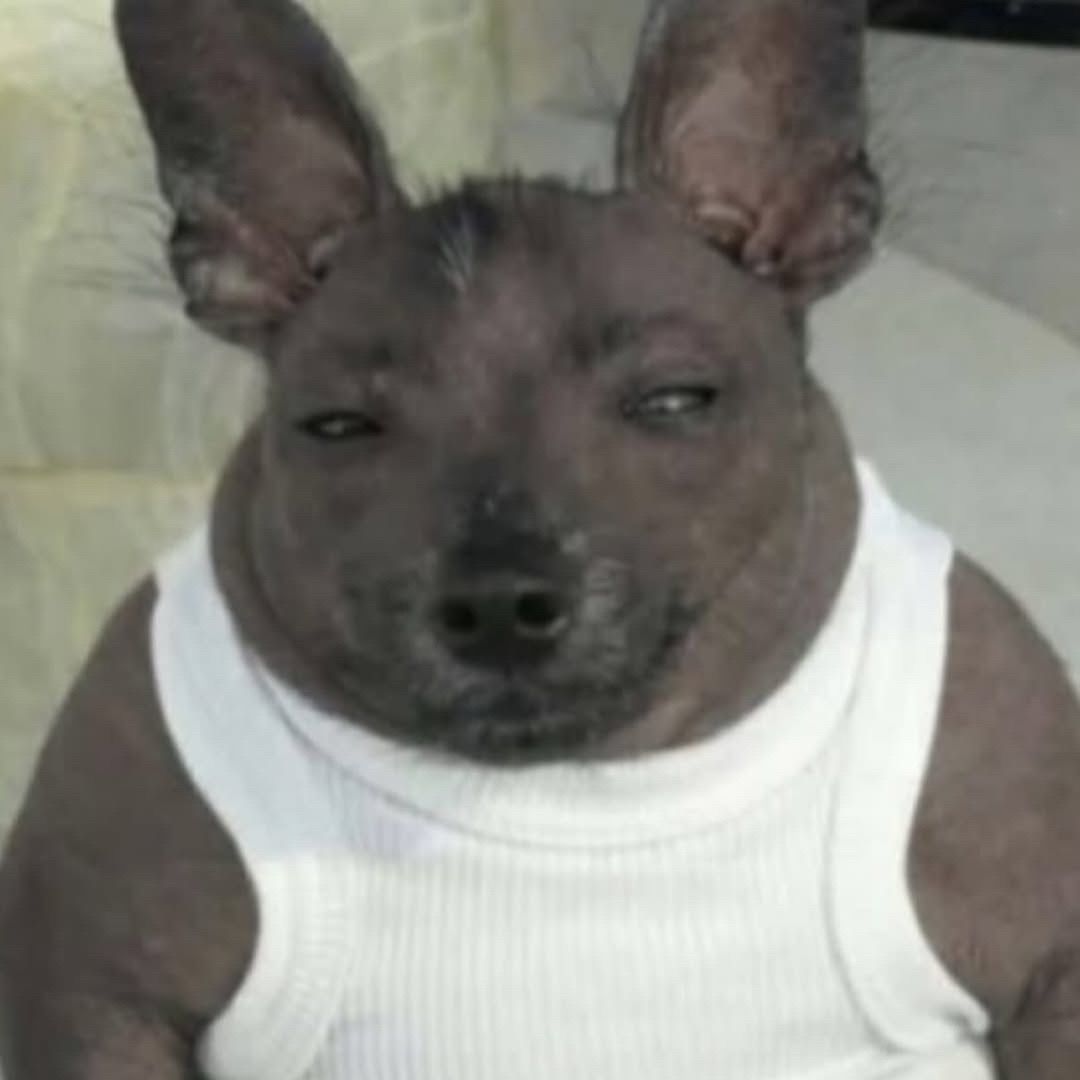 bonustrip666