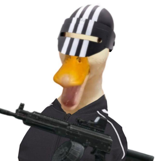 P0kuril avatar