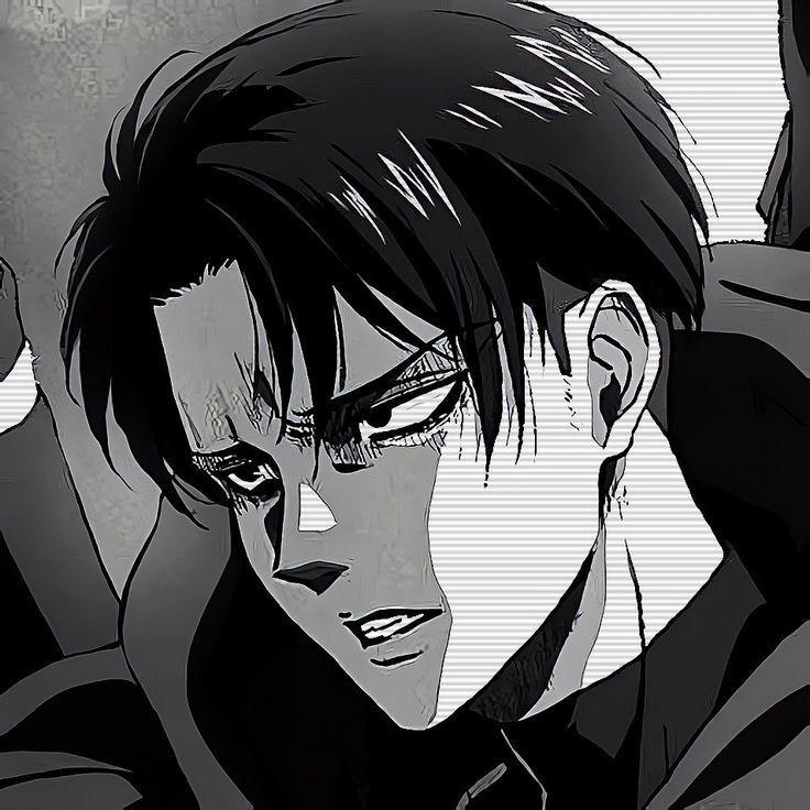 hayatake avatar