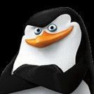 spxc1al FACEIT avatar