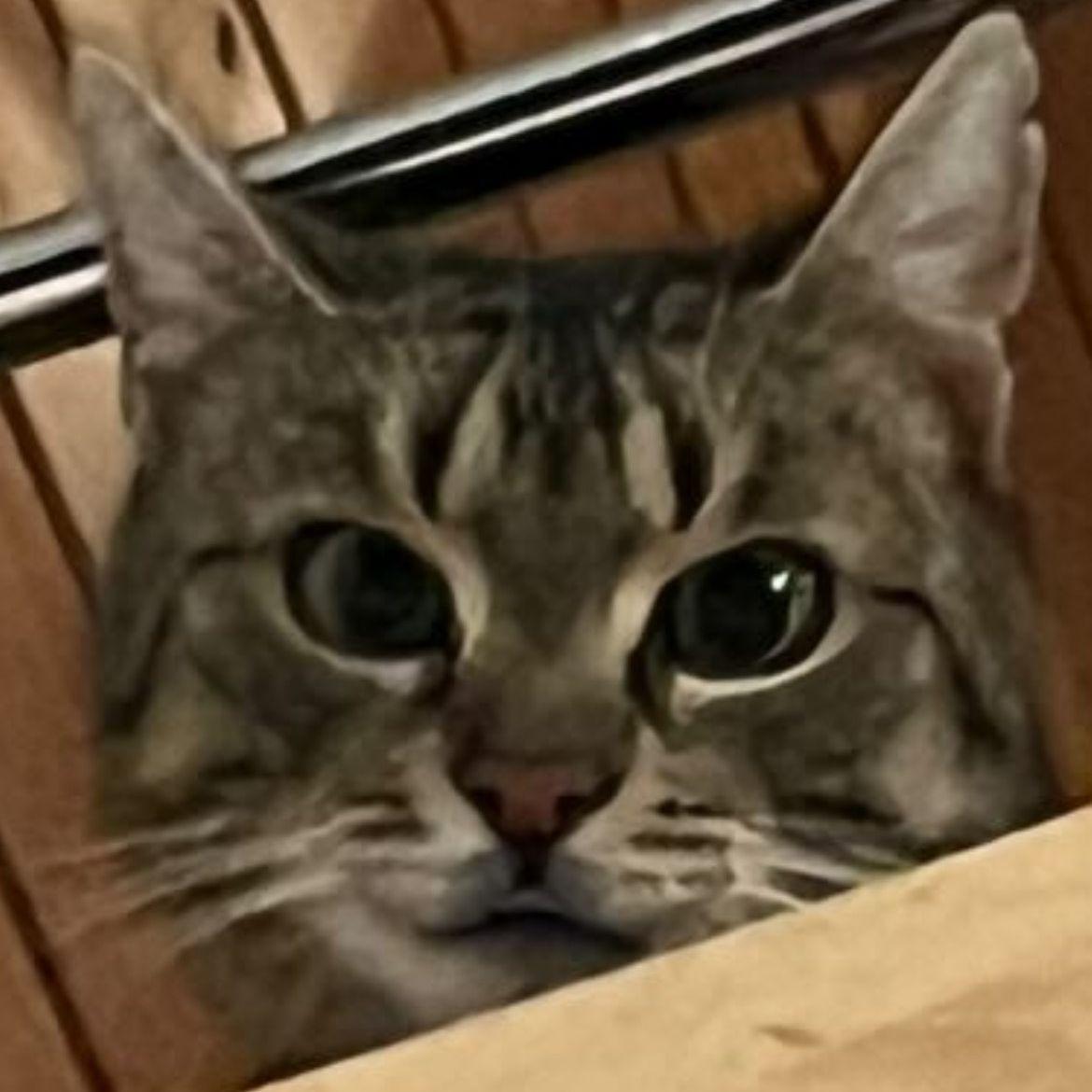 Klajboo avatar