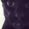 Evil_Larry2