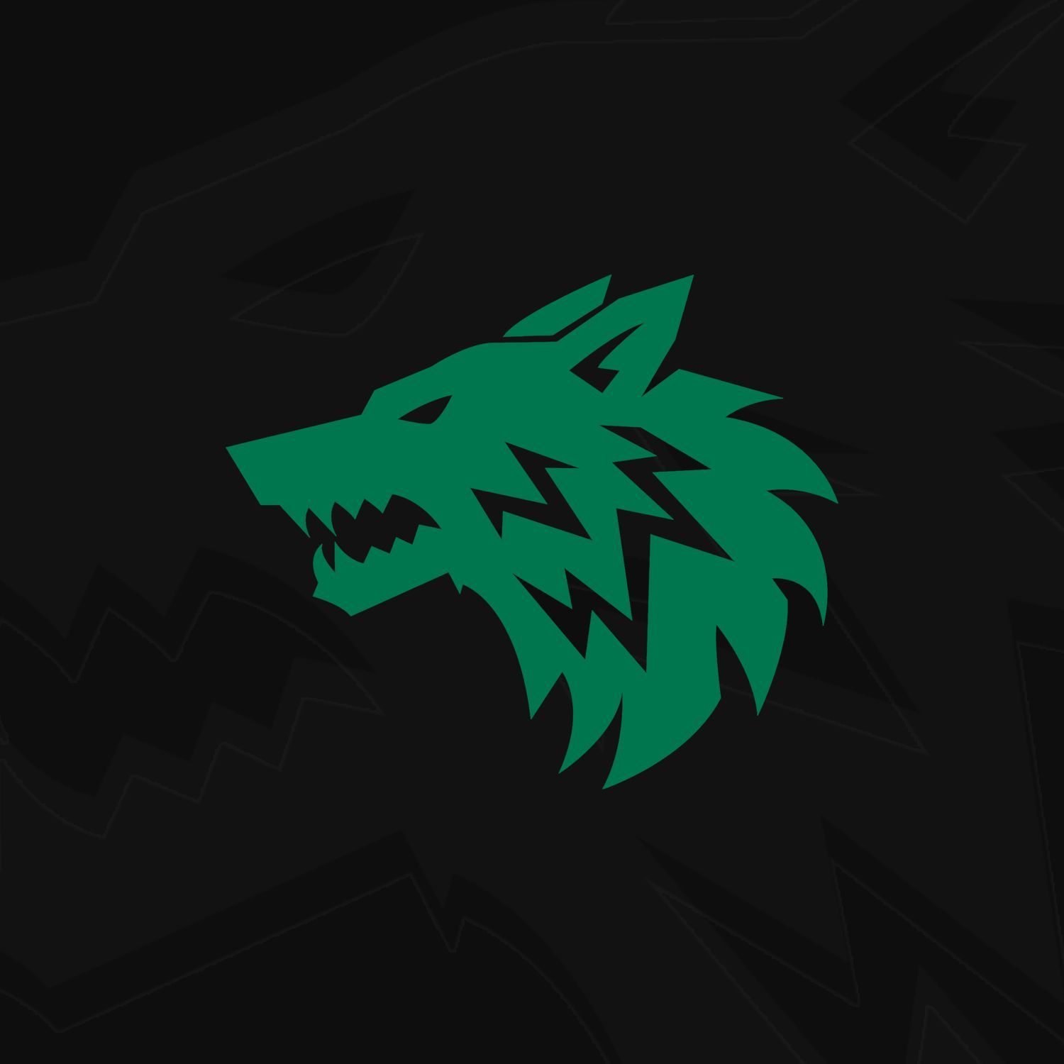 FANG ESPORT
