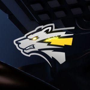 Storm Wolves