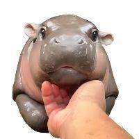 duhnejtak avatar