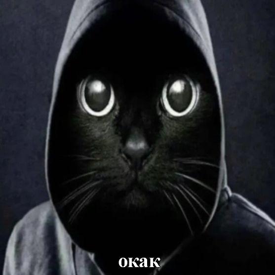 kakpopal avatar