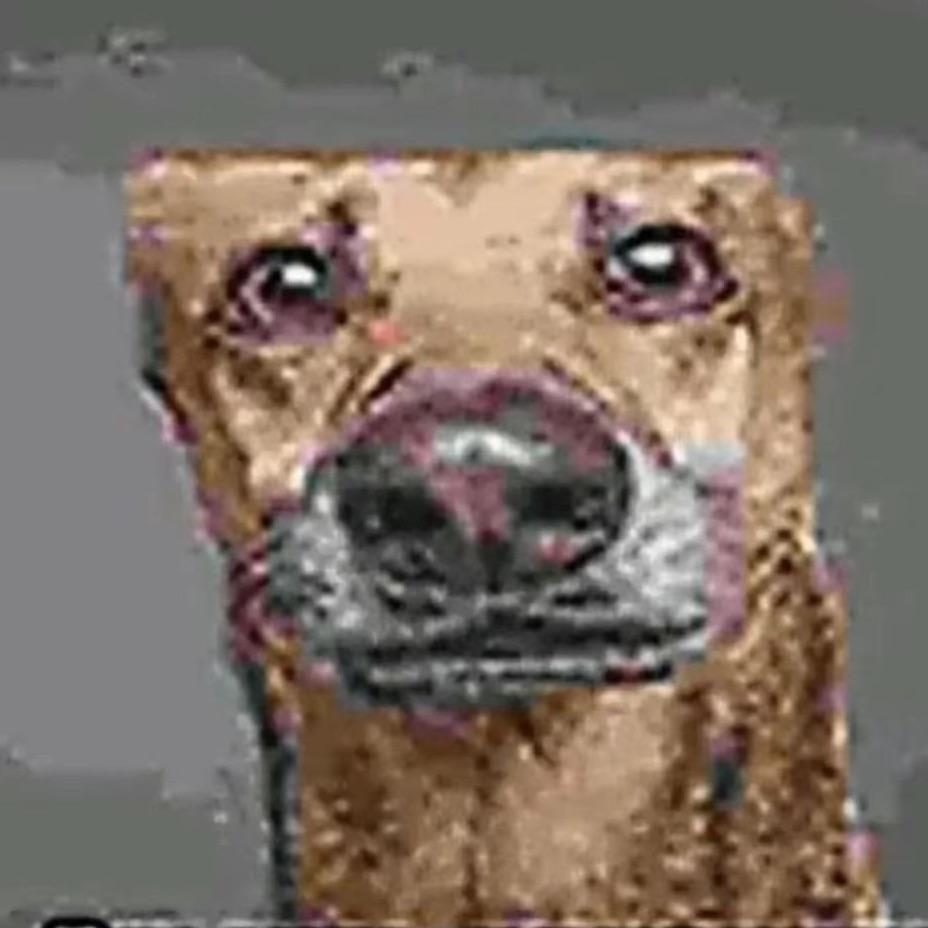 OLEGatorFN avatar