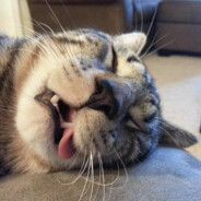 SleepDepriv3