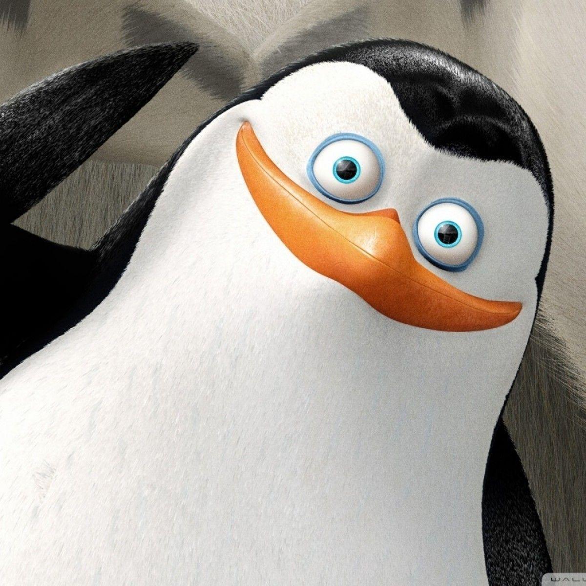 Jandoo99 avatar