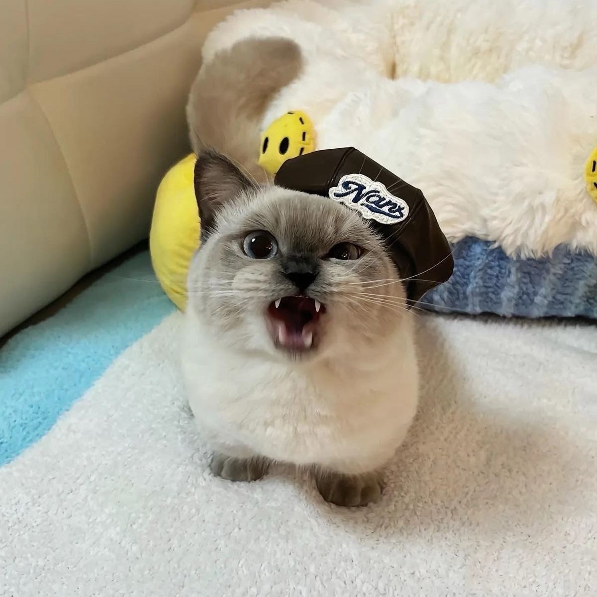 SweetyGZ