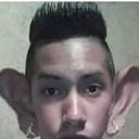 ZyreXNbN
