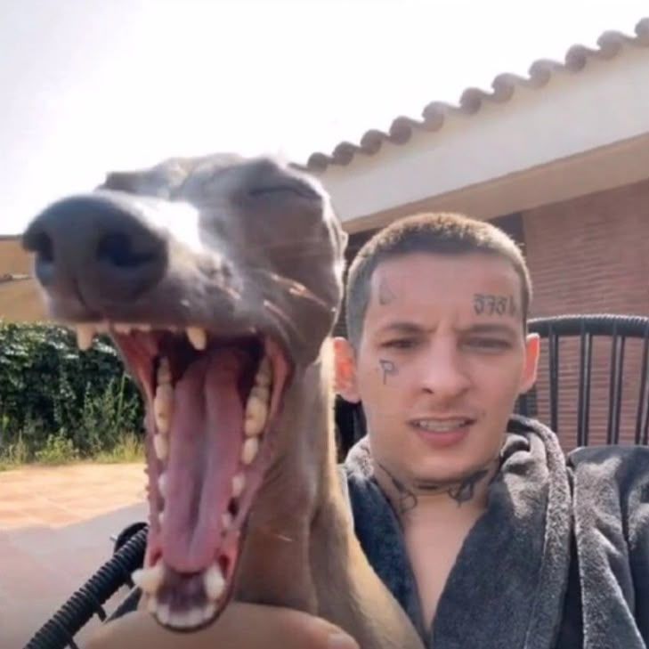 OGkrack