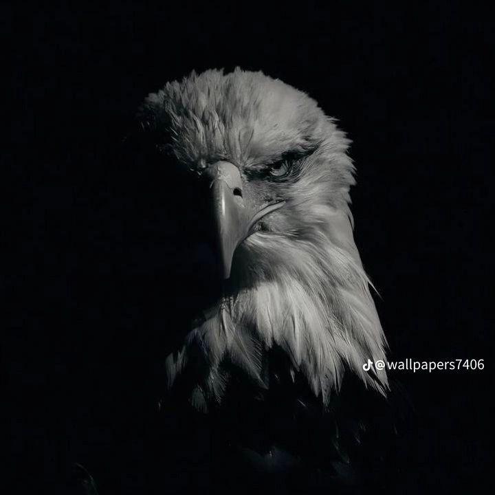 Na_Su4ka avatar