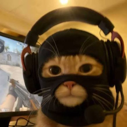 Faceit Avatar