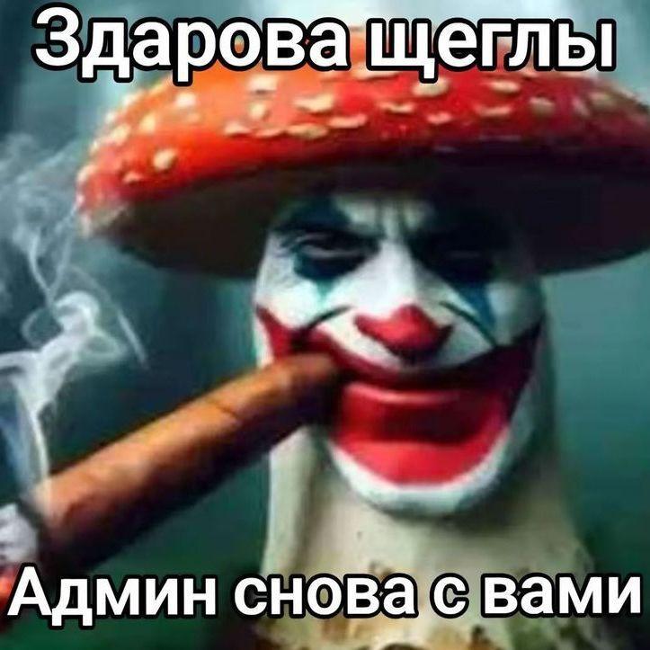 khan_arsen avatar