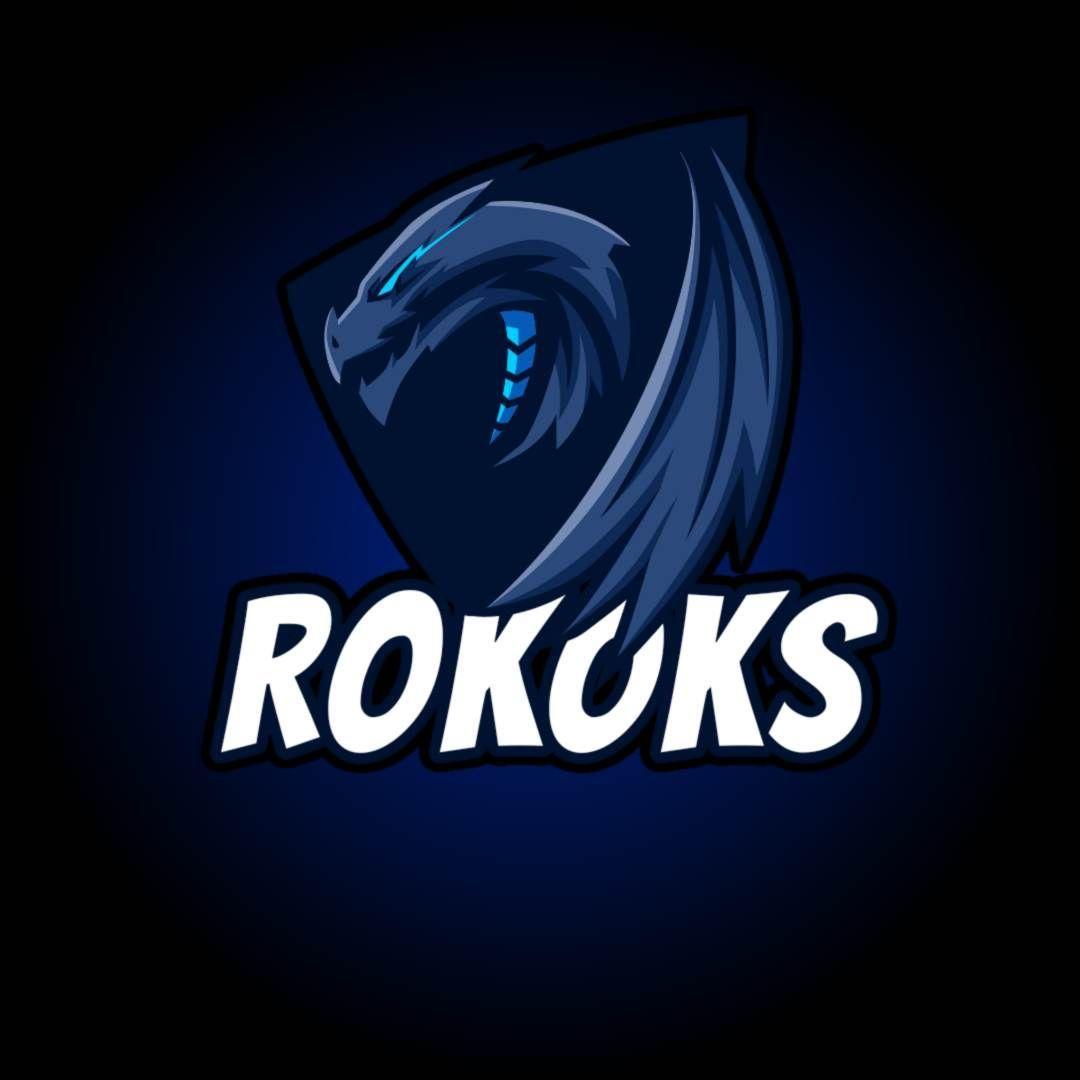 Player RokokS avatar