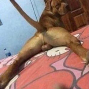 Darutki1337 avatar