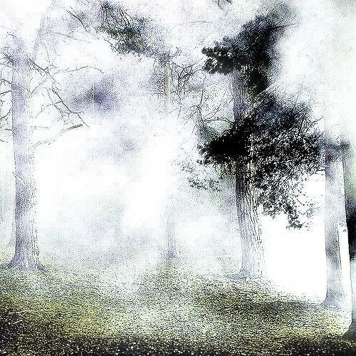 loudsilence5