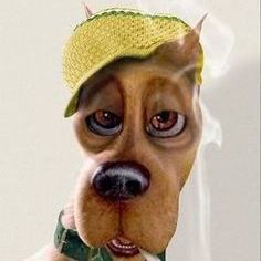 Scoobyy332
