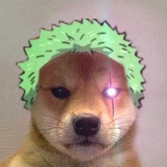 watawai avatar