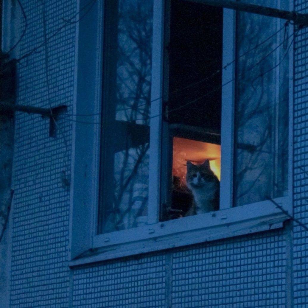 KABAN203