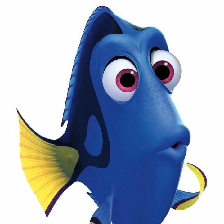 Dorihs