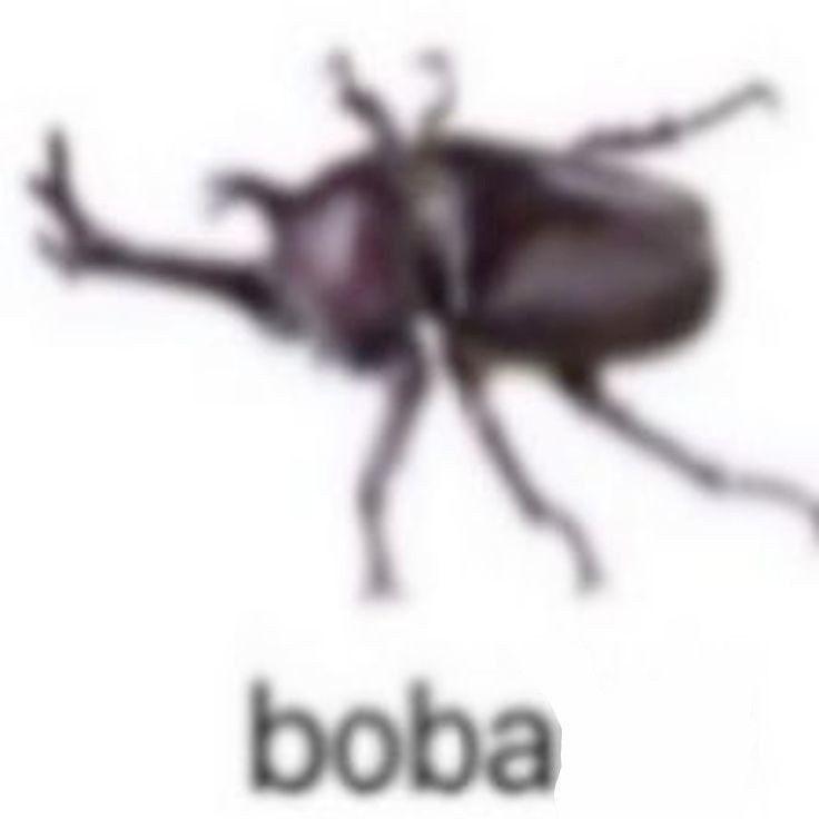 TET9SVETA avatar