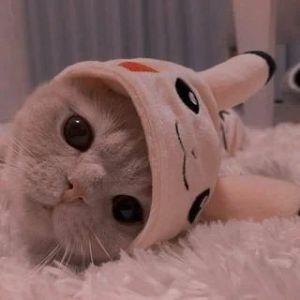 ClNnamonBun avatar