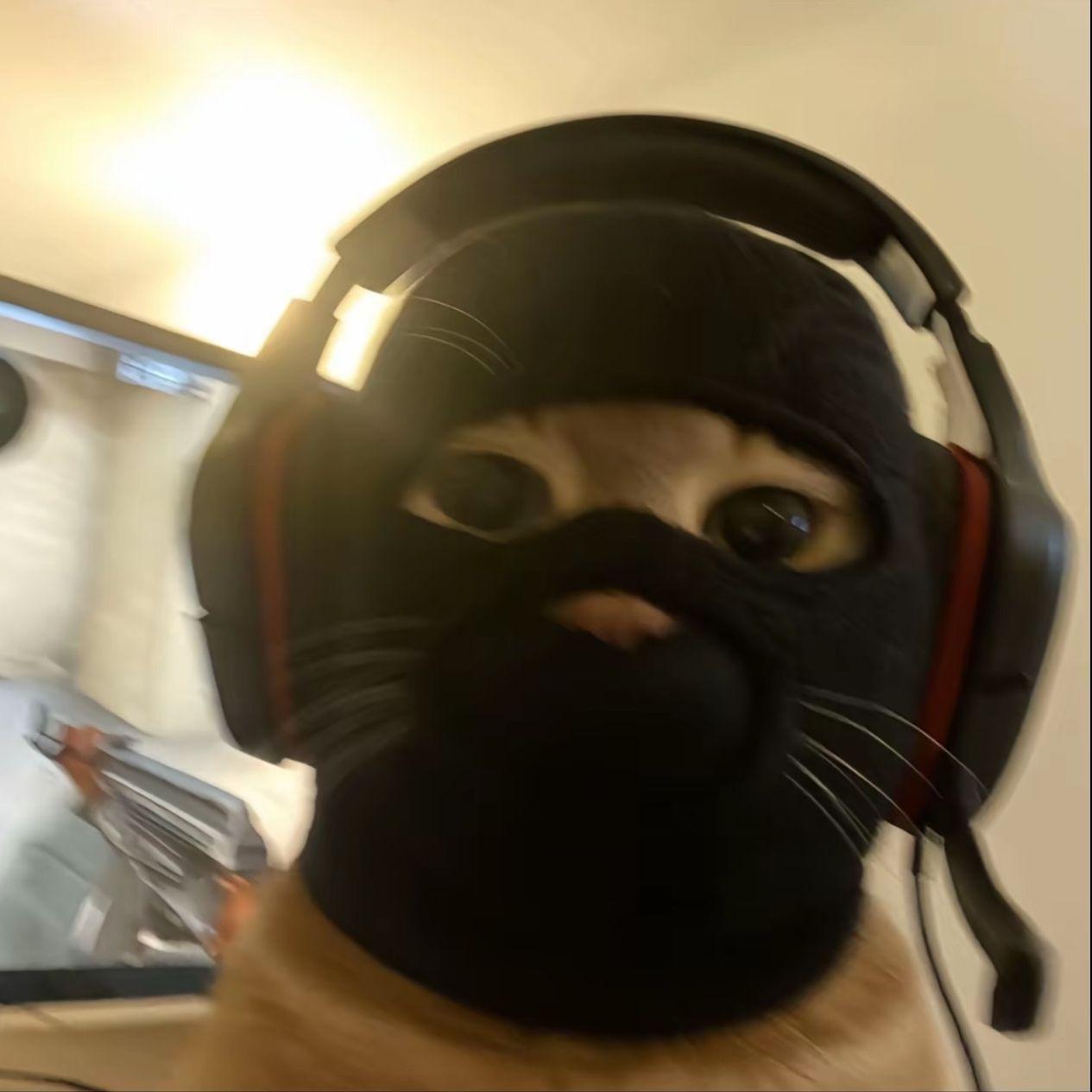 qu1nc1ttv avatar