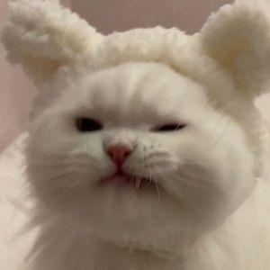 onnodige_cg