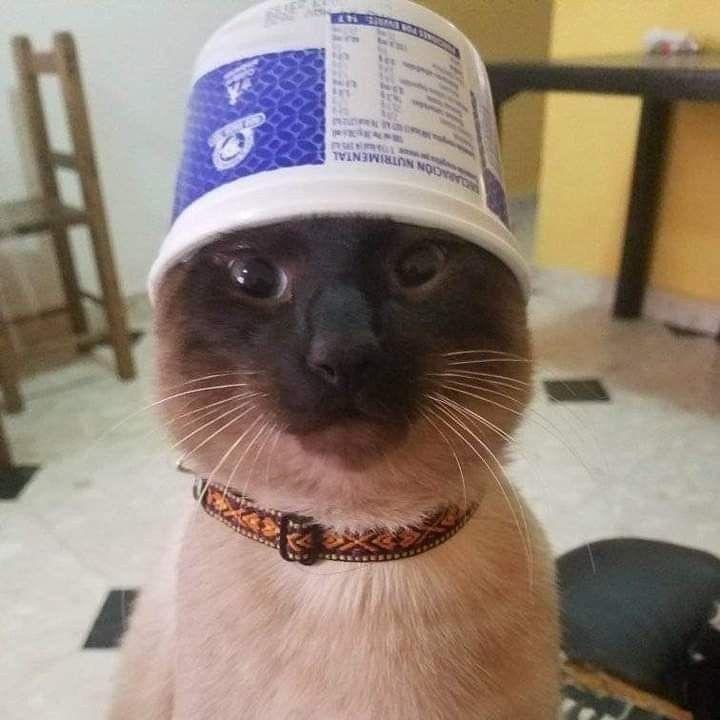 riskosvk999 avatar
