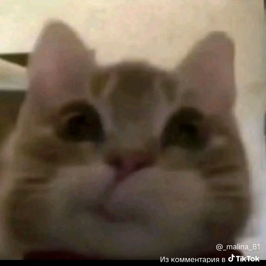 pimen0y