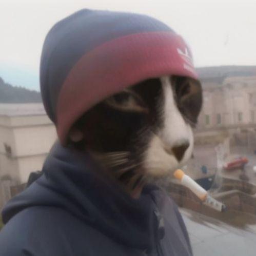 Fadle_junior avatar
