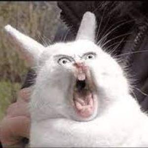 Quent1N32 avatar