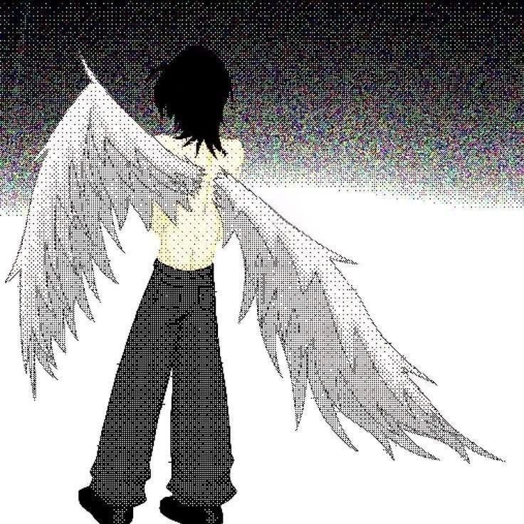 shenr1