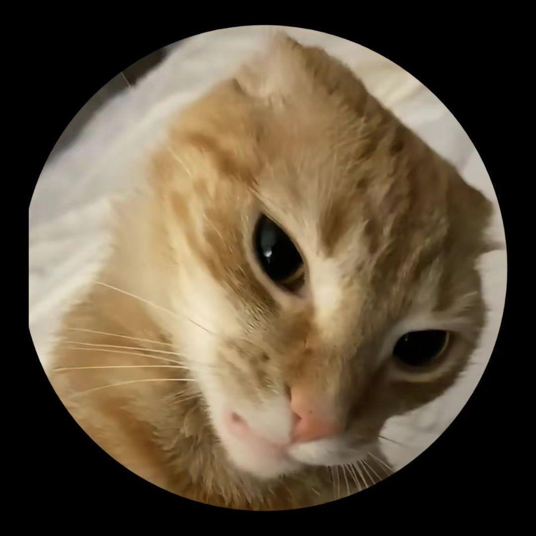 trenerbuster avatar