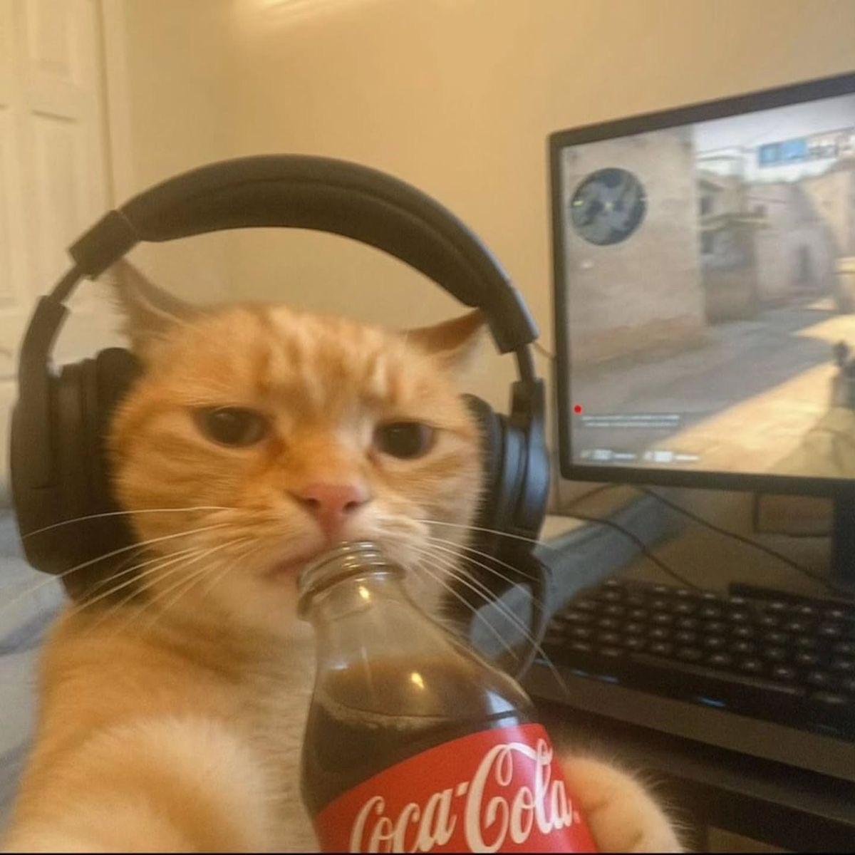 ZigmaTvarkys avatar