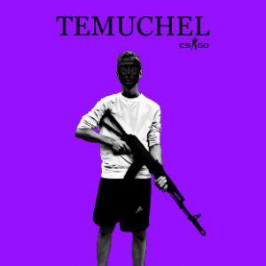 Player TEMUCHEL avatar