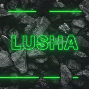 Player LUSHAaA avatar