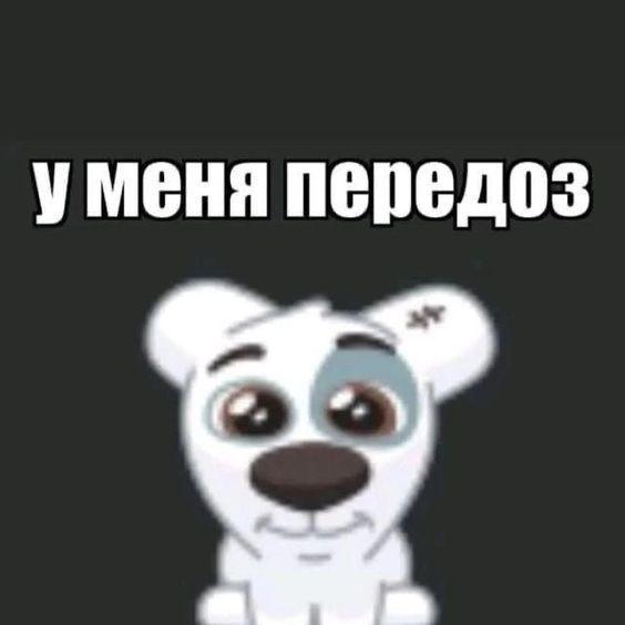 ulya5775 avatar