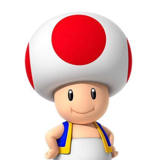 bob0o